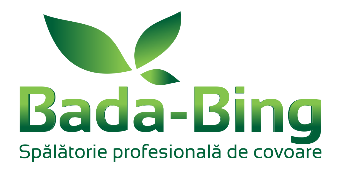 Spalatoria de covoare Bada-Bing Brasov