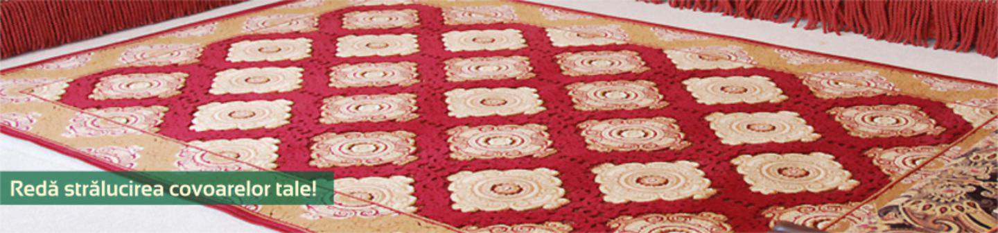 Spalatoria de covoare Bada-Bing - imagine2