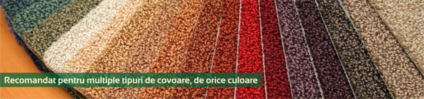 Spalatoria de covoare Bada-Bing - imagine3