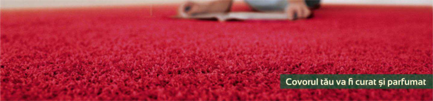 Spalatoria de covoare Bada-Bing - imagine5